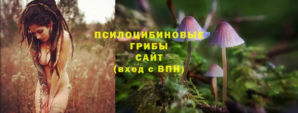 амфетамин Алексеевка