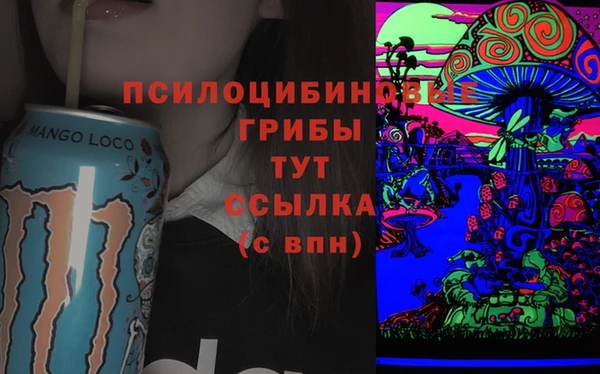амфетамин Алексеевка