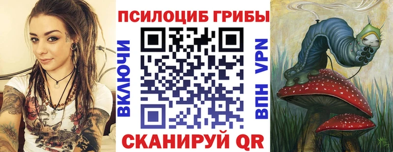 Псилоцибиновые грибы GOLDEN TEACHER Грязовец